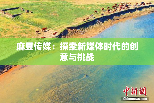 麻豆传媒：探索新媒体时代的创意与挑战