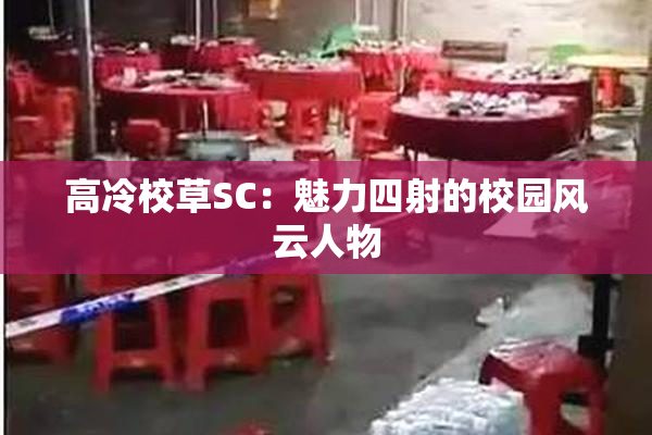 高冷校草SC：魅力四射的校园风云人物