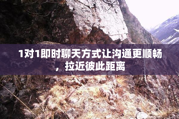 1对1即时聊天方式让沟通更顺畅，拉近彼此距离