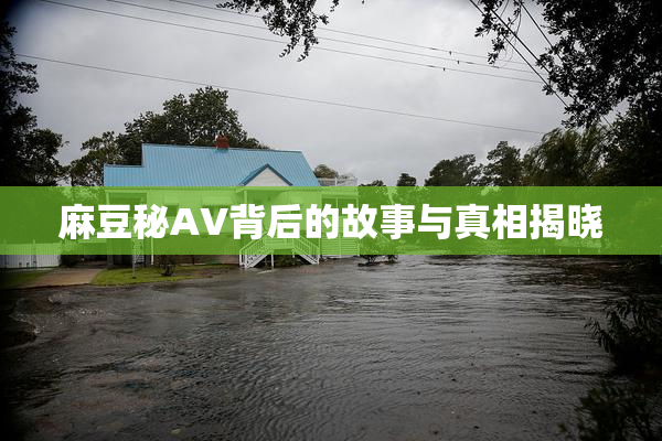 麻豆秘AV背后的故事与真相揭晓