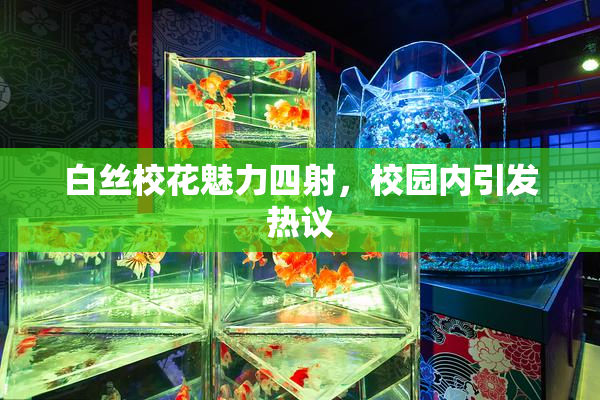 白丝校花魅力四射，校园内引发热议