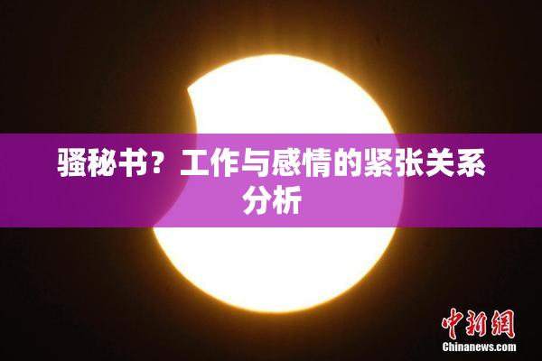 骚秘书？工作与感情的紧张关系分析