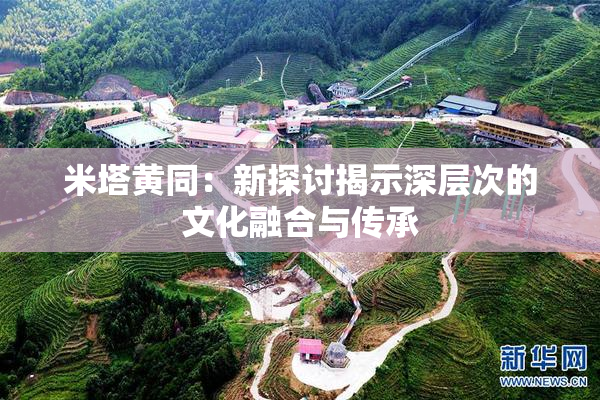 米塔黄同：新探讨揭示深层次的文化融合与传承