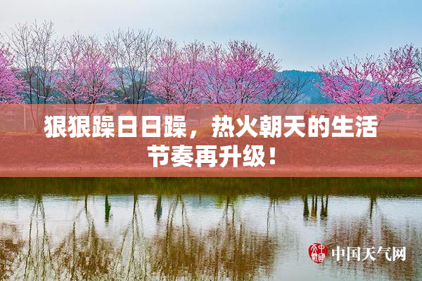 狠狠躁日日躁，热火朝天的生活节奏再升级！