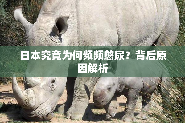 日本究竟为何频频憋尿？背后原因解析