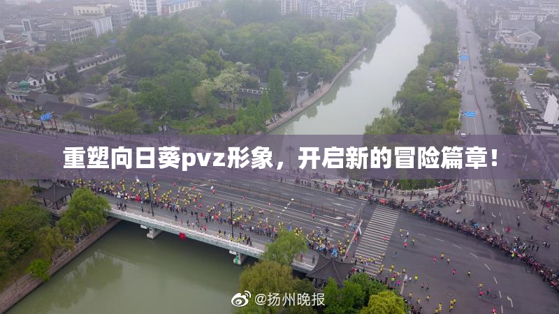 重塑向日葵pvz形象，开启新的冒险篇章！
