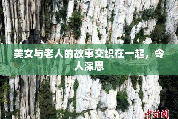 美女与老人的故事交织在一起，令人深思