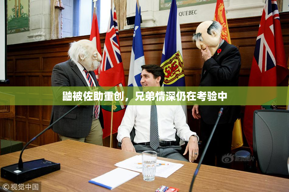 鼬被佐助重创，兄弟情深仍在考验中