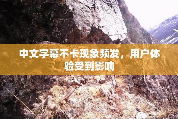 中文字幕不卡现象频发，用户体验受到影响