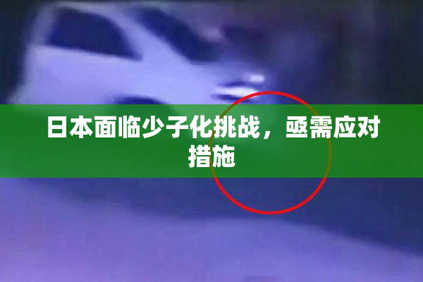 日本面临少子化挑战，亟需应对措施