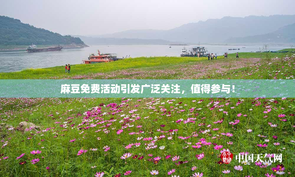 麻豆免费活动引发广泛关注，值得参与！