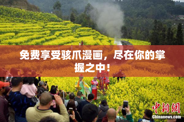 免费享受骇爪漫画，尽在你的掌握之中！