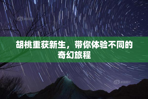 胡桃重获新生，带你体验不同的奇幻旅程