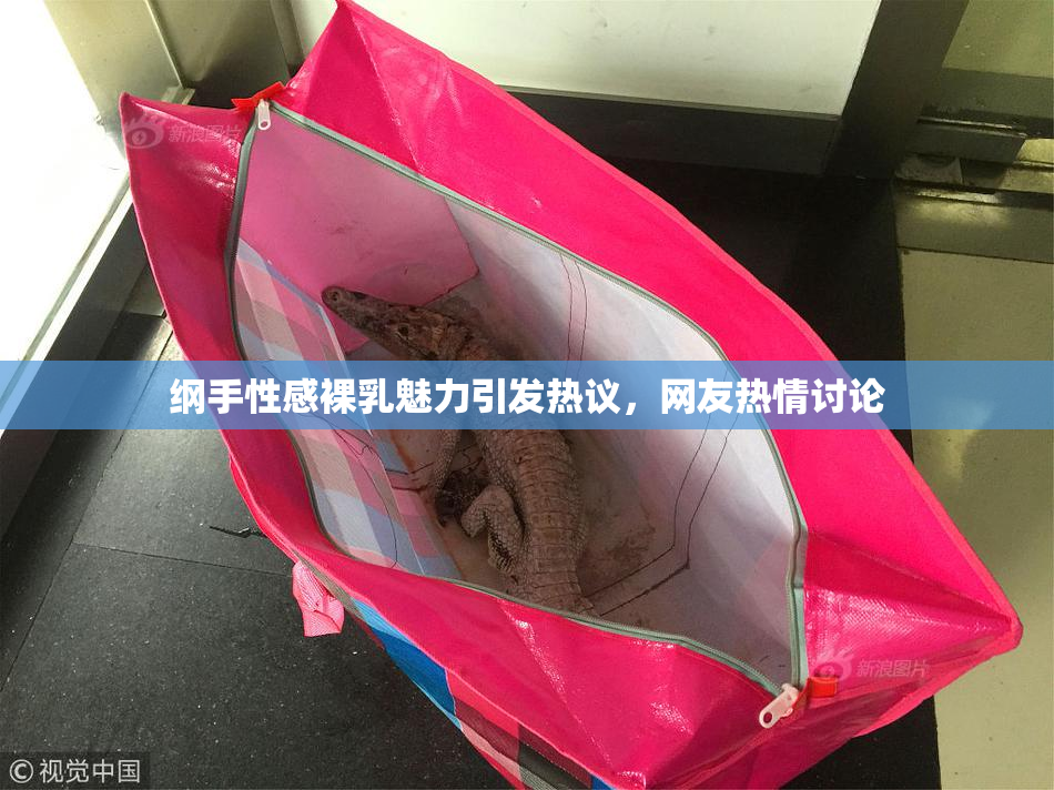 纲手性感裸乳魅力引发热议，网友热情讨论