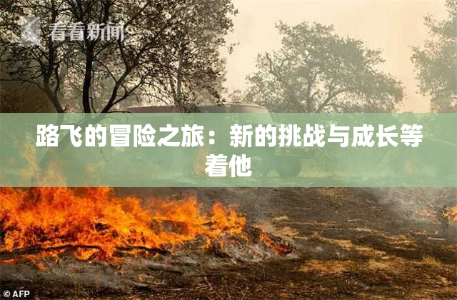 路飞的冒险之旅：新的挑战与成长等着他
