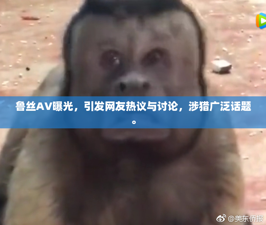 鲁丝AV曝光，引发网友热议与讨论，涉猎广泛话题。