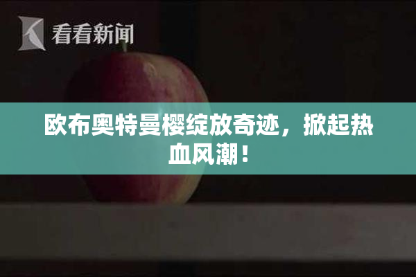 欧布奥特曼樱绽放奇迹，掀起热血风潮！