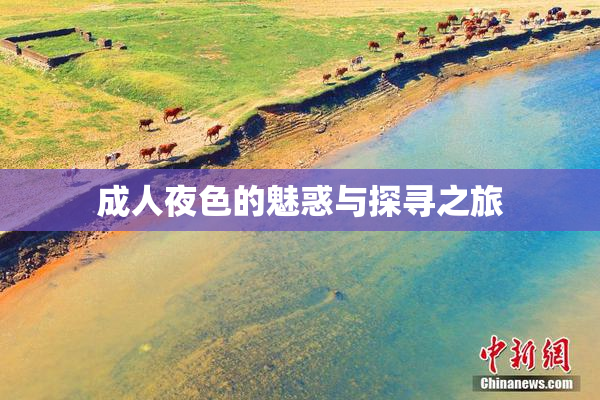 成人夜色的魅惑与探寻之旅