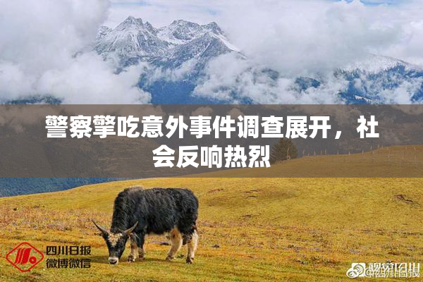警察擎吃意外事件调查展开，社会反响热烈