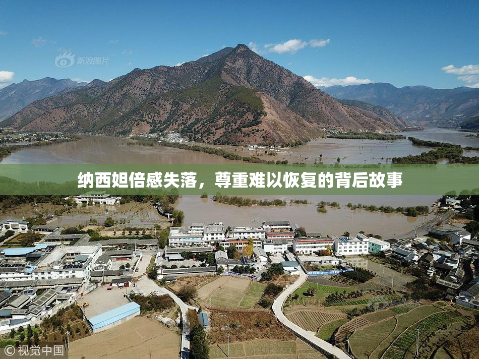 纳西妲倍感失落，尊重难以恢复的背后故事