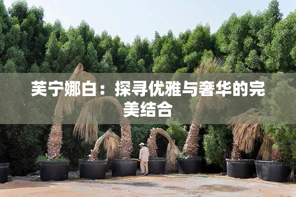 芙宁娜白：探寻优雅与奢华的完美结合