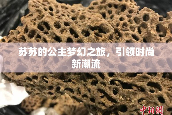 苏苏的公主梦幻之旅，引领时尚新潮流