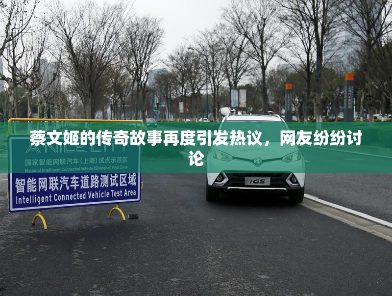 蔡文姬的传奇故事再度引发热议，网友纷纷讨论