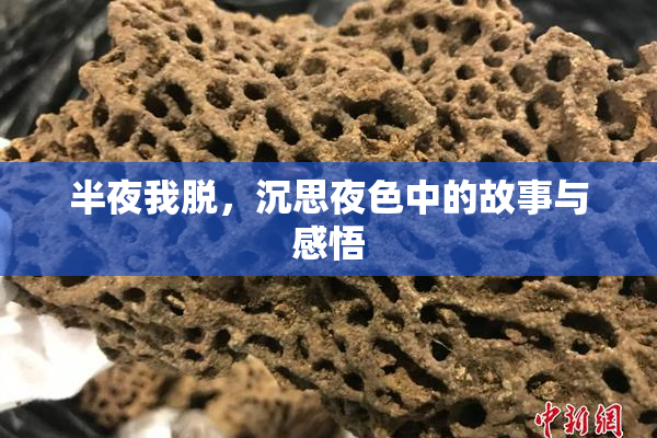 半夜我脱，沉思夜色中的故事与感悟
