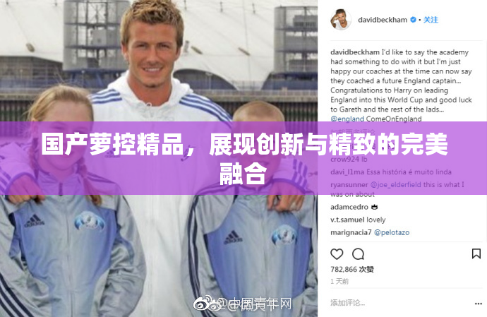 国产萝控精品，展现创新与精致的完美融合
