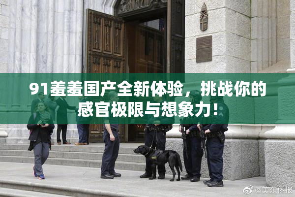 91羞羞国产全新体验，挑战你的感官极限与想象力！