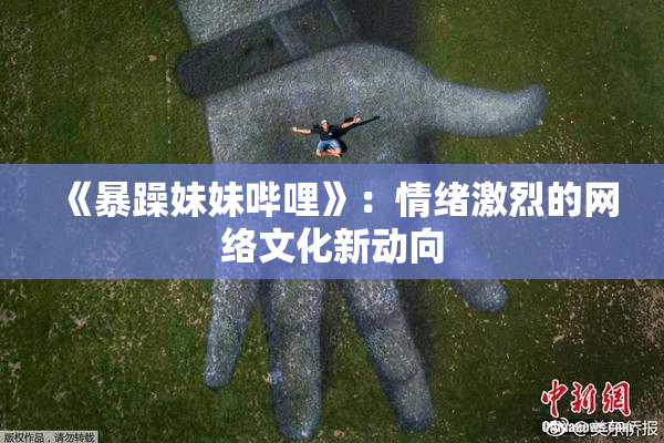 《暴躁妹妹哔哩》：情绪激烈的网络文化新动向