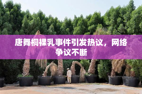 唐舞桐裸乳事件引发热议，网络争议不断