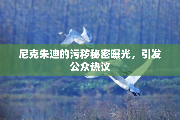 尼克朱迪的污秽秘密曝光，引发公众热议