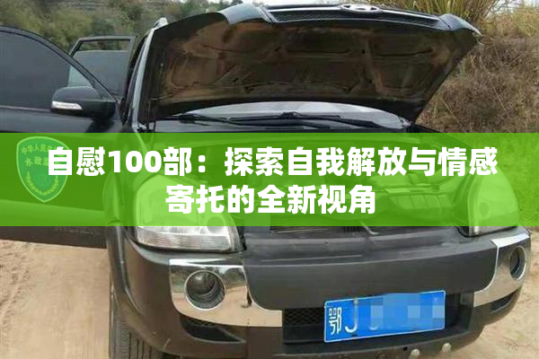 自慰100部：探索自我解放与情感寄托的全新视角