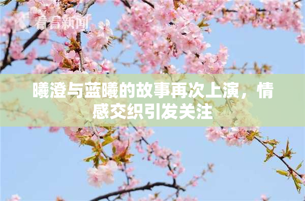 曦澄与蓝曦的故事再次上演，情感交织引发关注