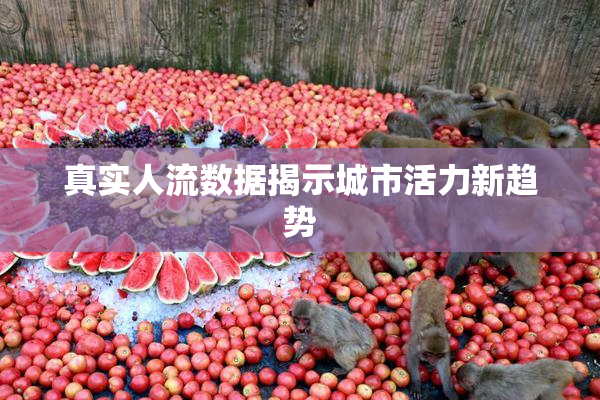 真实人流数据揭示城市活力新趋势
