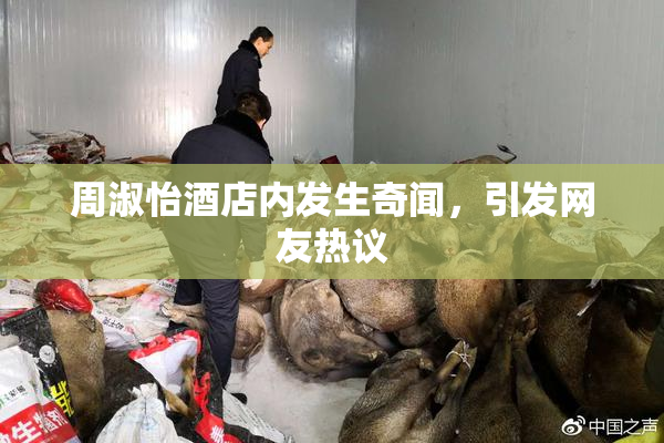 周淑怡酒店内发生奇闻，引发网友热议