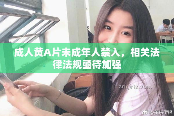 成人黄A片未成年人禁入，相关法律法规亟待加强