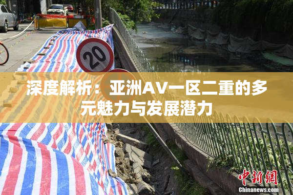 深度解析：亚洲AV一区二重的多元魅力与发展潜力