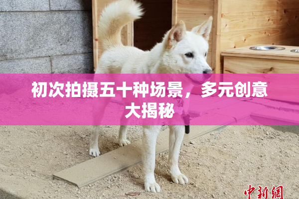 初次拍摄五十种场景，多元创意大揭秘
