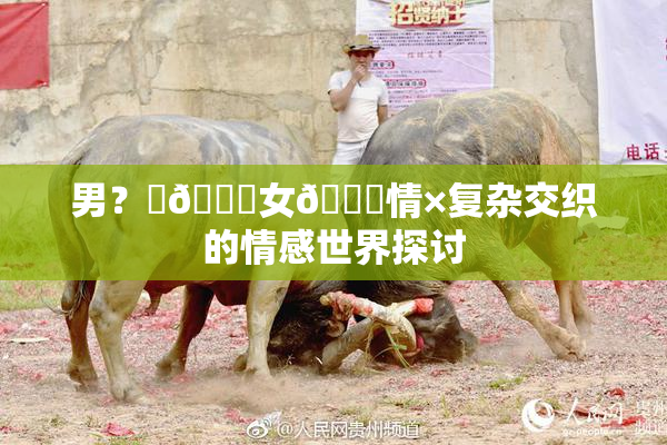男？‌🍌女🍑情×复杂交织的情感世界探讨