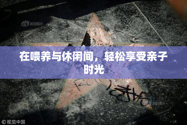 在喂养与休闲间，轻松享受亲子时光