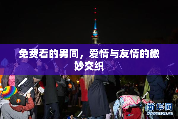 免费看的男同，爱情与友情的微妙交织