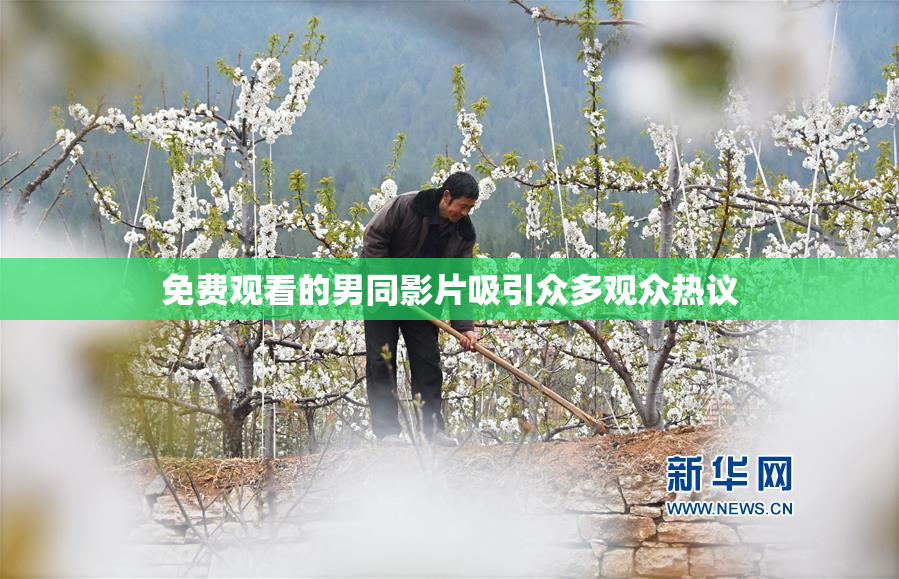 免费观看的男同影片吸引众多观众热议