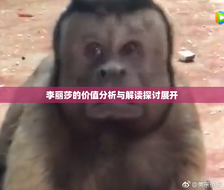 李丽莎的价值分析与解读探讨展开