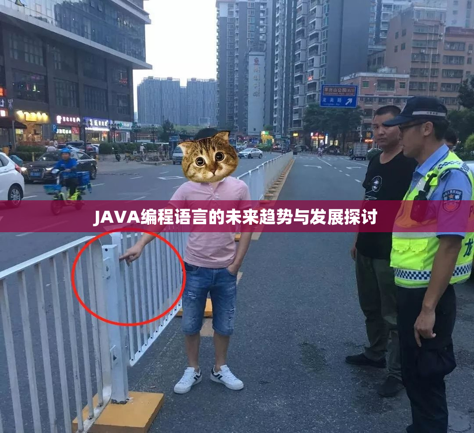 JAVA编程语言的未来趋势与发展探讨
