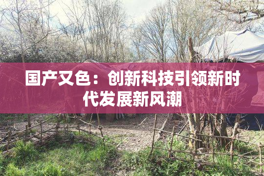 国产又色：创新科技引领新时代发展新风潮