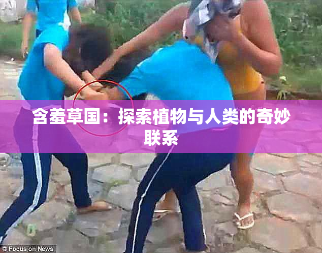 含羞草国：探索植物与人类的奇妙联系