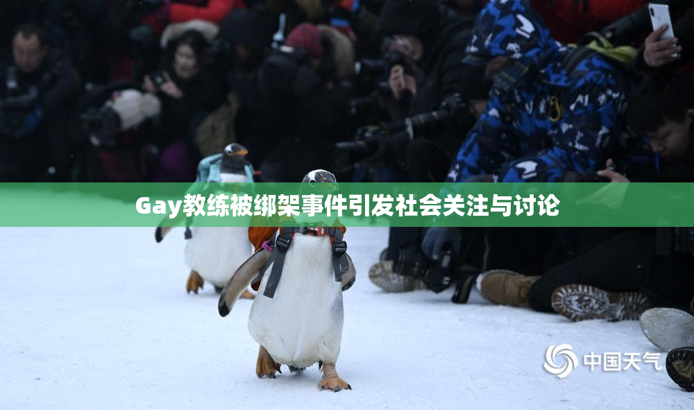 Gay教练被绑架事件引发社会关注与讨论