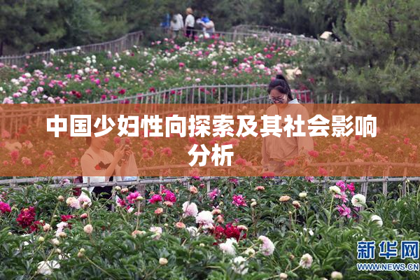 中国少妇性向探索及其社会影响分析